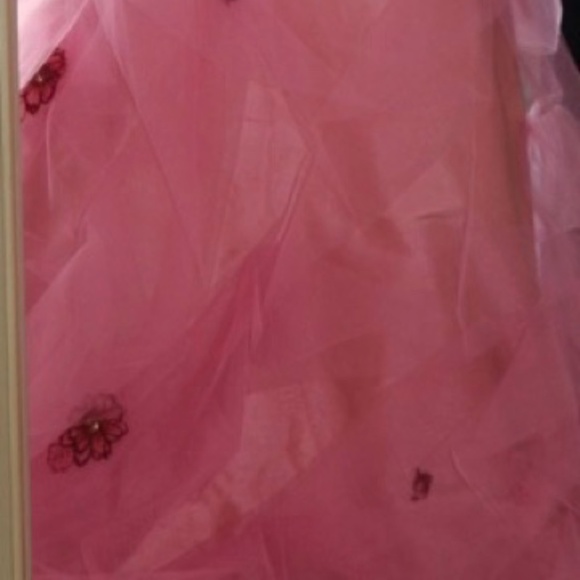 Luly Yang Couture Raspberry Creme Silk Gown - Picture 13 of 14